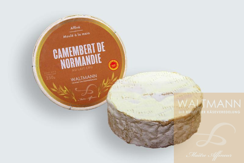 Camembert de Normandie fermier (jung) 