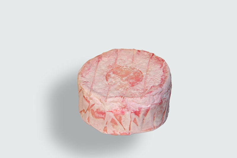 1.Waltmann´s Rose-Champagner No.1