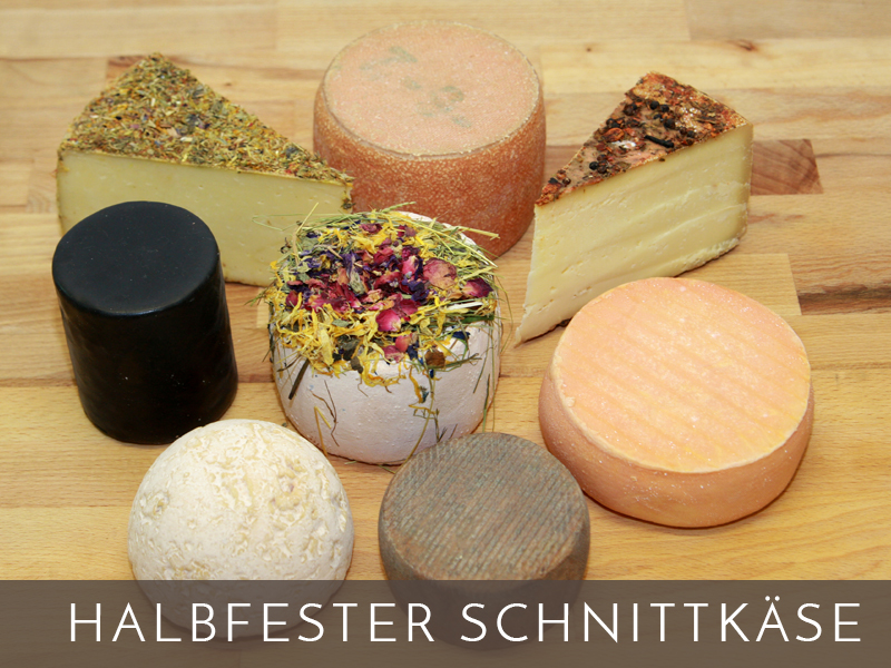 Halbfester Schnittkäse