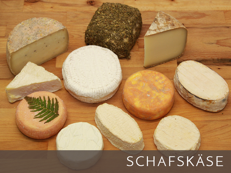 Schafskäse