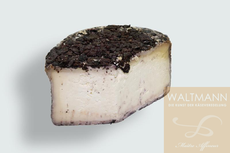 Testun in Dolcetto und Nebbiolo-Most gereift 