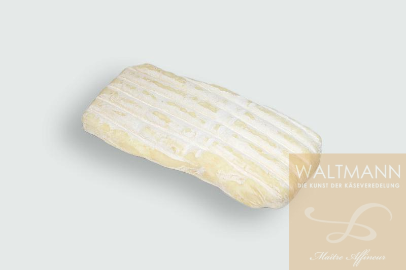 Brique de Jussac