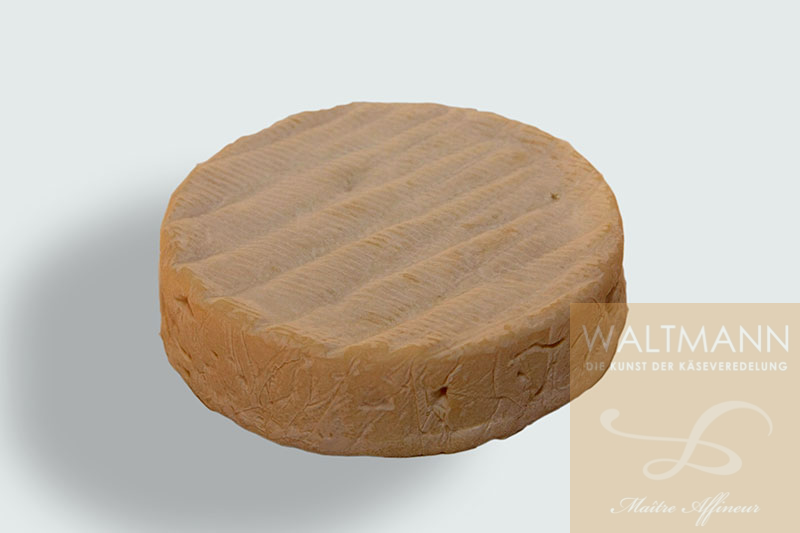 Coulommiers fermier (gross 400g)