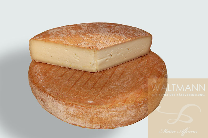 Ziegen-Tomme fermier, mit Muscadet verfeinert