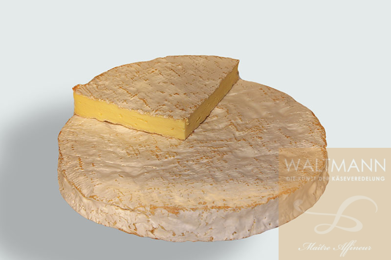 Brie de Meaux fermier