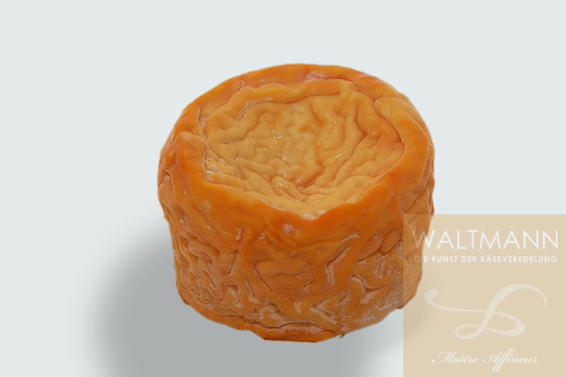 Langres, verfeinert mit Calvados