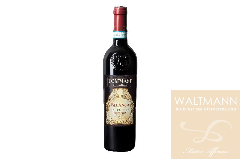 Tommasi Valpolicella Ripasso Superiore DOC 