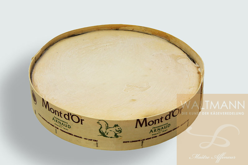 Vacherin Mont d'Or groß ...