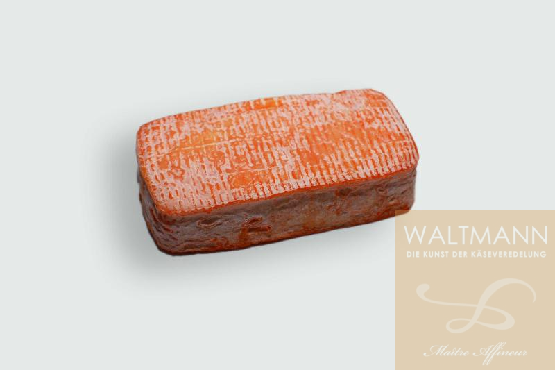 Briquette Toulousaine fermier NEU 3/26