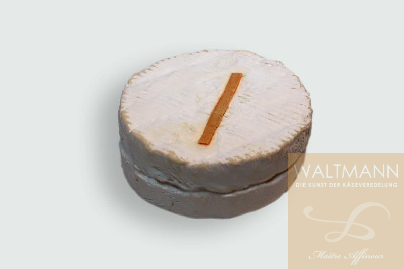 Fin Briard Liqueur ...