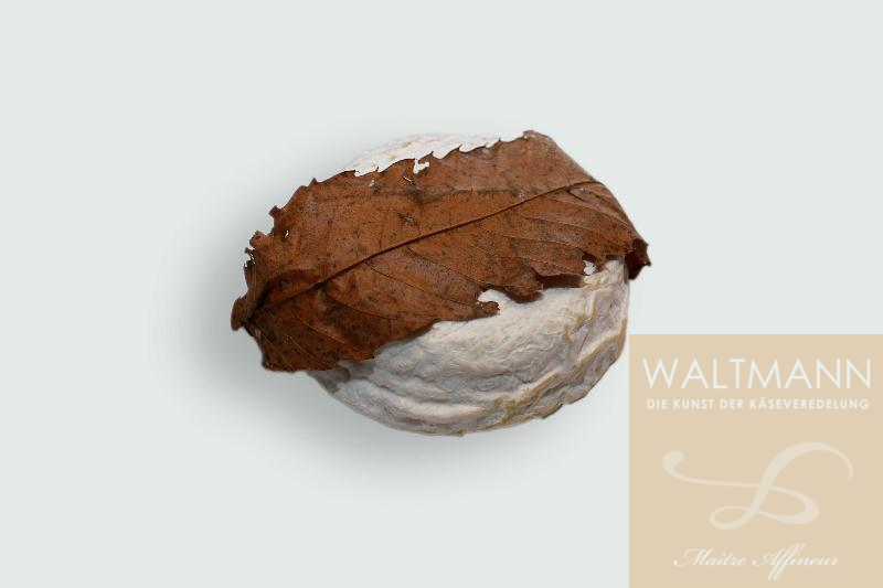 Saint Jeanvrin a la ...