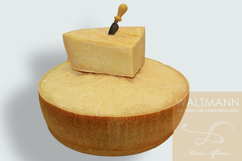 Original Parmesan Reggiano, 2 Jahre alt