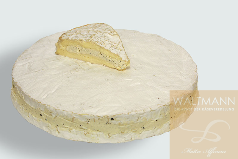 Brie aux Truffes (m. schwarzem Trüffel gefüllt)