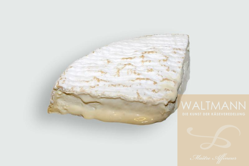 Brie de Melun