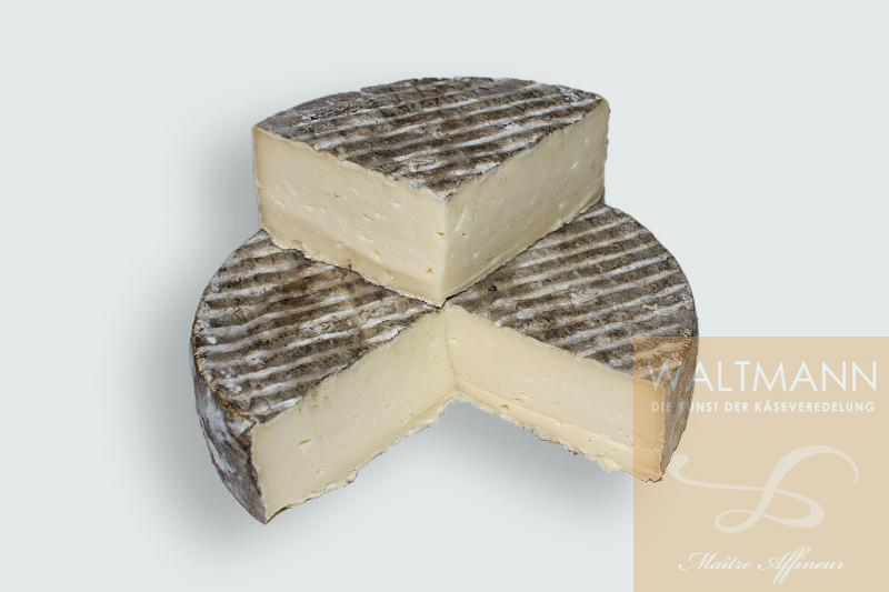 Tomme du Chatelard ...